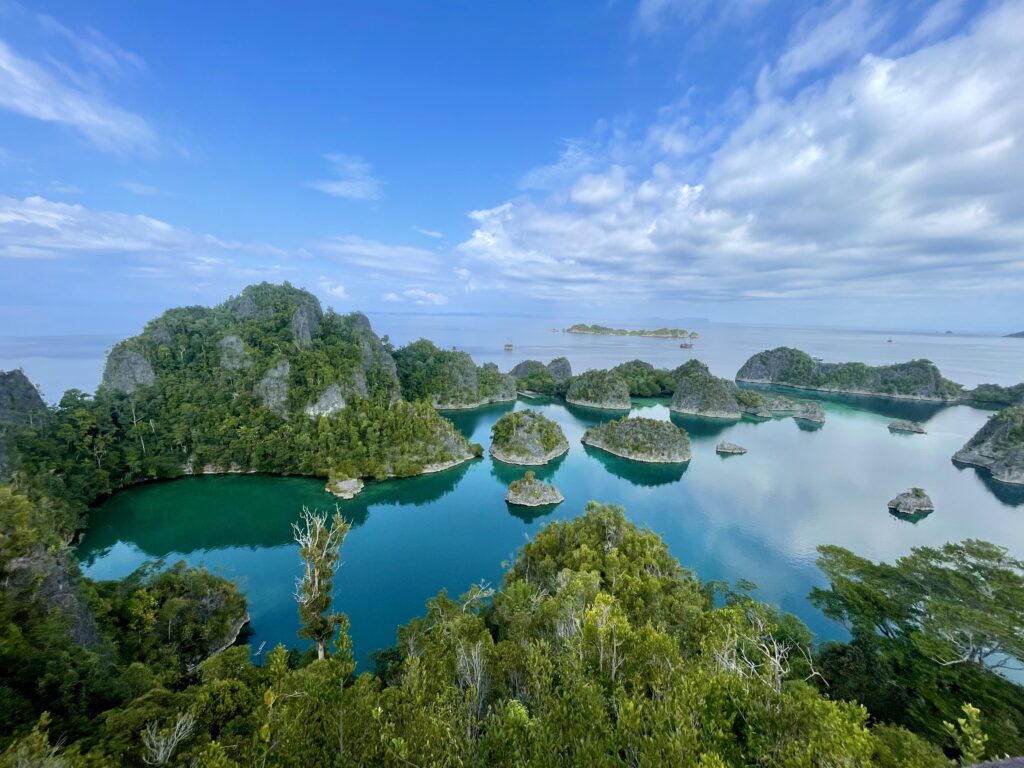 Scenic view of lush green islands surrounded by clear blue water under a partly cloudy sky.