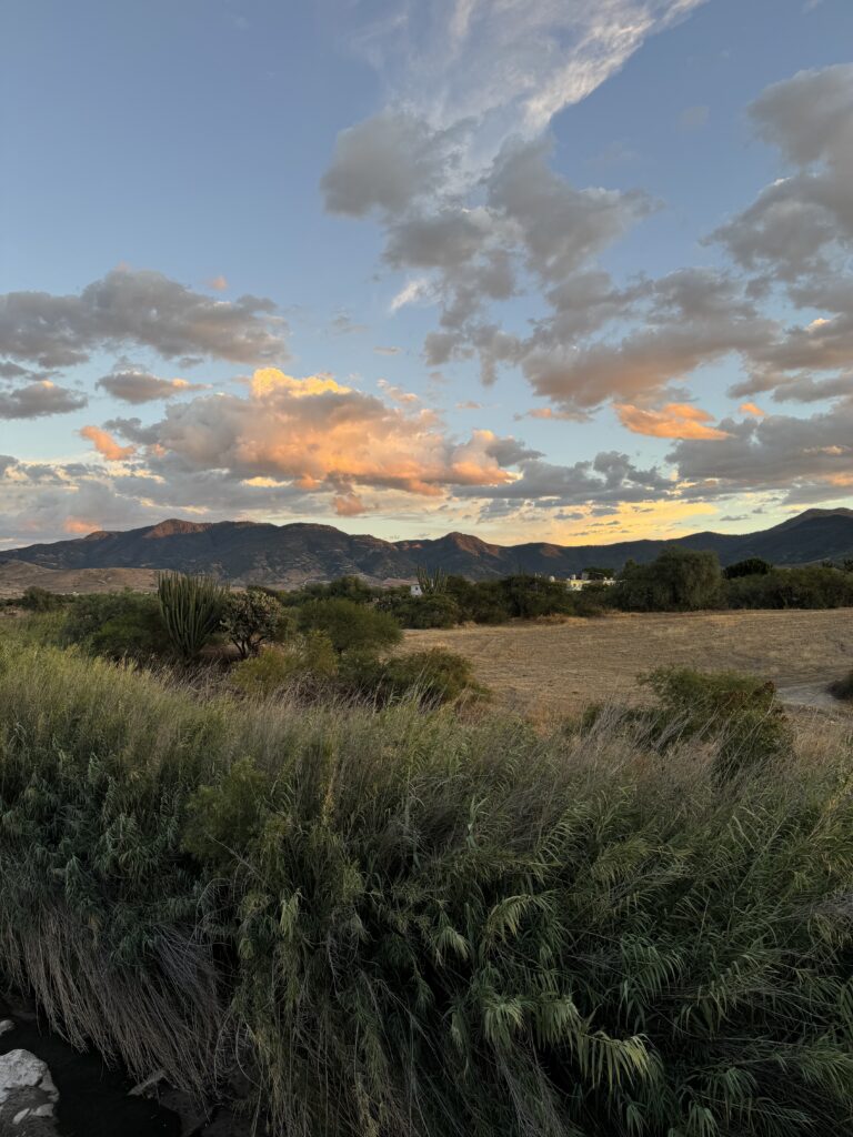Sunset over a grassy field with mountains and scattered clouds.